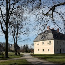 Le parc du château de Brunow © Arnaud Galy - Agora francophone 