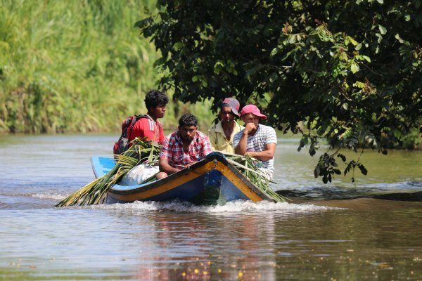 Paysans en Guyane - © Pixabay - Kevin Snyman